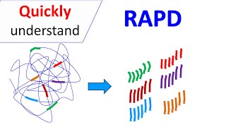 RAPD  Random Amplification of Polymorphic DNA [upl. by Downall]