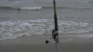 Review of Ugly Stik 12 Foot Spinning Surf Rod [upl. by Gensmer]