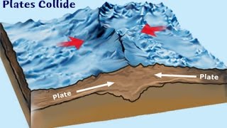 Collisional Plate boundaries  diagram and explanation [upl. by Leva931]