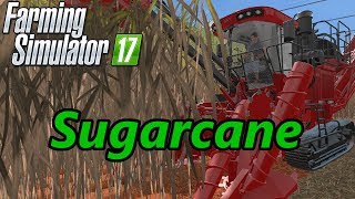 Farming Simulator 17 Tutorial  Sugarcane [upl. by Rollin]