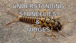 Understanding Stoneflies amp Midges with Tom Rosenbauer [upl. by Chaves]