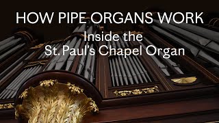 How Pipe Organs Work Inside the St Paul’s Chapel Organ [upl. by Haroun848]