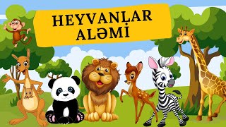 HEYVANLARİ OYRENMEK  HEYVANLAR ALEMİ [upl. by Assirialc]