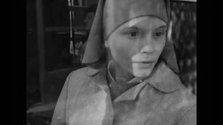 Ida  Official Trailer [upl. by Eanram]