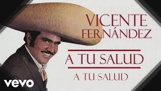 Vicente Fernández  A Tu Salud  Cover Audio [upl. by Mobley489]