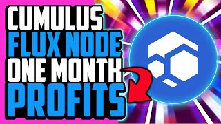 My Flux Node One Month Profitability [upl. by Nelg]