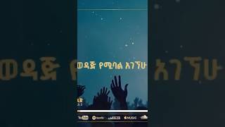 Hana Tekle Vol 4 track Wedaj  ወዳጅ [upl. by Aelyk]