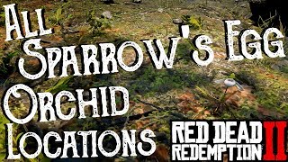 Red Dead Redemption 2  All 25 Sparrows Egg Orchid Locations Duchesses and Other Animals Exotics [upl. by Malachi]