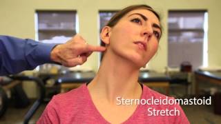 TMJ Exercise Sternocleidomastoid Stretch [upl. by Amein]