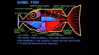 Babel Fish  The Oddest Thing In The Universe  The Hitchhikers Guide To The Galaxy  BBC [upl. by Lundgren886]