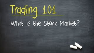 Trading 101 What is the Stock Market [upl. by Ecirtnom]