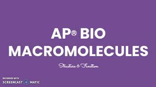 AP Bio Macromolecules [upl. by Meir]