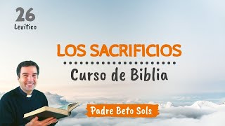 26 LOS SACRIFICIOS  Curso de Biblia Católico [upl. by Ynomrah]