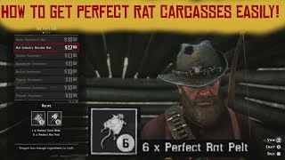 How to get perfect Rat Carcasses easily  Red Dead Redemption 2 [upl. by Aleyam366]