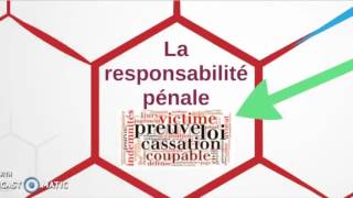 Responsabilité pénale [upl. by Mellar777]