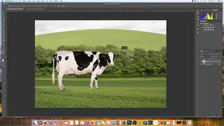 How to insert an image into another image Photoshop  EASY EXPLANATION [upl. by Ahsietal853]