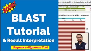 What is BLAST  Tutorial amp Interpretation [upl. by Nomed]