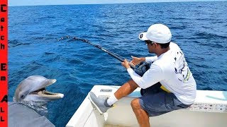 DOLPHIN Caught on FISHING LINE Safe Release [upl. by Girardi]