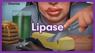 Lipase Mnemonic for MCAT [upl. by Jecho293]