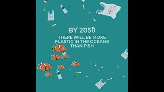 Startling Facts About Plastic Pollution In The Oceans [upl. by O'Connell]