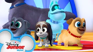 Puppy Playcare Song 🐾  Music Video  Puppy Dog Pals  Disney Junior [upl. by Lipson]