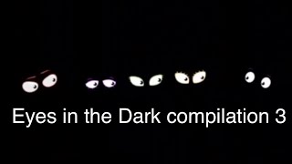 Eyes in the Dark Compilation 3 [upl. by Lyle]