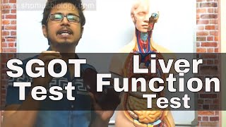 SGOT test in Hindi  SGOT test procedure [upl. by Gibbons100]