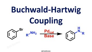 BuchwaldHartwig Coupling [upl. by Sorkin608]