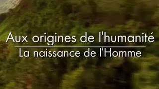 Aux origines de lhumanité  La naissance de lhomme 23 [upl. by Saturday]