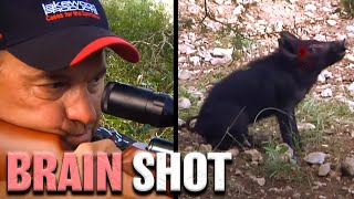 Hog Hunt With Airgun HD  GAMO Hunter Extreme 25 caliber [upl. by Airdnaed598]