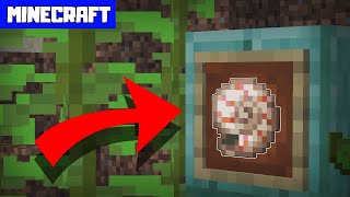 MINECRAFT  What Does the Nautilus Shell Do [upl. by Raye]