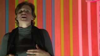 TEDxSussexUniversity  Mariana Mazzucato  The Entrepreneurial State [upl. by Prunella]