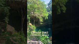 Incredible Cenote in Valladolid Mexico Cenote Zaci shorts [upl. by Annohsed537]