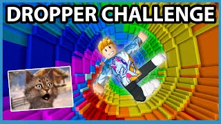 Roblox Rainbow Dropper Challenge [upl. by Llehsal]