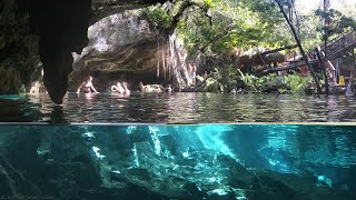 Cenotes of Tulum Mexico  Cancun Snorkeling [upl. by Lihcox]