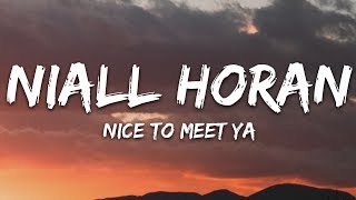 Niall Horan  Nice To Meet Ya Lyrics [upl. by Kozloski]