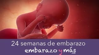 24 semanas de embarazo  Sexto mes  EMBARAZOYMAS [upl. by Baum]