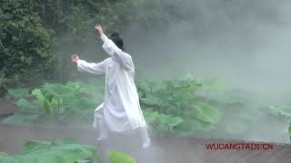 Wudang Tai Chi 13 by Master Chen Shiyu [upl. by Kusin]