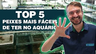 PEIXES MAIS FÁCEIS DE CUIDAR  TOP 5 Aquário de Água Doce [upl. by Sarat605]