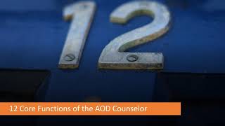 Addictions Counselor Core Skills Part I The 12 Core Functions [upl. by Laurene]