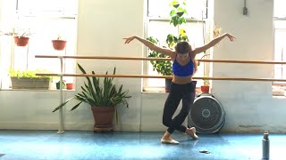 10 MIN BALLET ARMS WORKOUT  No Equipment Needed [upl. by Lau711]