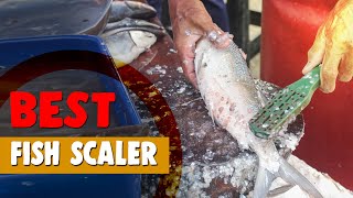 Best Fish Scaler in 2020 – Tested amp Reviewed by Expert [upl. by Oicanata]