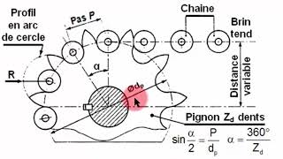 Pignon chaîne [upl. by Tarra]