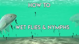 Using Wet Flies amp Nymphs  How To [upl. by Lyrred]