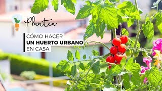 🪴 Cómo Hacer un Huerto Urbano en Casa Paso a Paso [upl. by Lednyk]