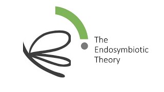 Evolution Endosymbiotic Theory [upl. by Nedda564]