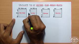 Calculate The Area of HECTARE  ACRE  BIGHA  GUNTA [upl. by Lechar26]