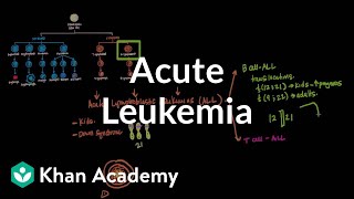 Acute leukemia  Hematologic System Diseases  NCLEXRN  Khan Academy [upl. by Wendi926]