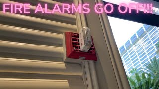 MUST WATCH FIRE ALARMS RANDOMLY GO OFF AT THE FLAMINGO LAS VEGAS [upl. by Eesdnil333]