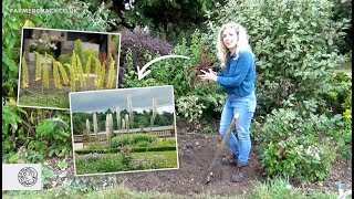 How to grow Eremurus Foxtail Lily bulbstubers  FarmerGracycouk [upl. by Peppi]